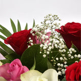 12 Sweet Expressions RosesLooking for the perfect way to express your sentiments to someone? Try our Sweet Expressions roses, a bouquet of roses pink, red, and white roses. impression with 12 Sweet Expressions roses. Beautifully wrapped and tied with ribb