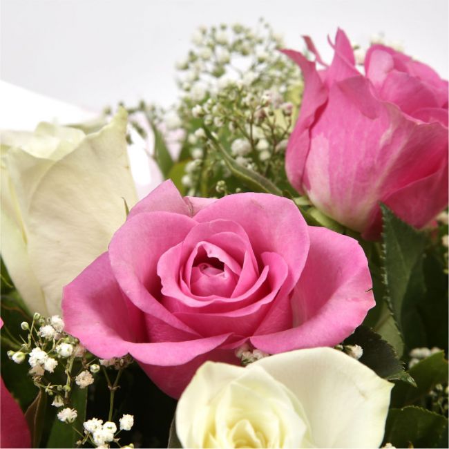 Pink & White RosesThis beautiful selection of fresh 12 Roses, in pretty Pink shades and in White, is a classic choice, ready to be displayed instantly. Beautifully wrapped and tied with ribbon before being delivered. Roses£14.99