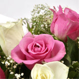 Pink & White RosesThis beautiful selection of fresh 12 Roses, in pretty Pink shades and in White, is a classic choice, ready to be displayed instantly. Beautifully wrapped and tied with ribbon before being delivered. Roses£14.99