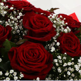 12 Red Roses With Gypsophila12 Red Roses With Gypsophila, A luxurious combination of 12 perfect Red Roses with Gypsophila and lush green foliage, carefully arranged Beautifully wrapped and tied with ribbon before being delivered.£25.99